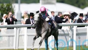 Field Of Gold raring to go again after Goodwood blip