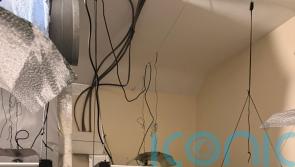 ‘Substantial’ cannabis factory discovered in searches in Co Down