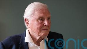 Sir David Attenborough breaks record as oldest Daytime Emmy winner at 99