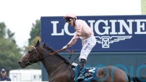 Cicero’s Gift stuns QEII field with 100-1 win