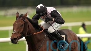 French Dynamite too strong for Munster National rivals