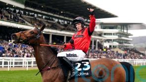 Festival hero Myretown has Newbury aim