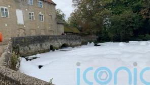 Environment Agency investigating after fish die in foam layer on river Thet