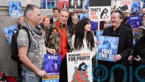 Protesters call for release of penguins ‘trapped in basement’ of London aquarium