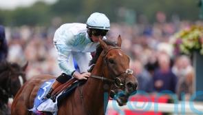 Bahrain and Hong Kong options for Pride Of Arras