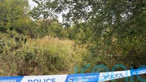 Two people arrested by police investigating rape of Sikh woman are bailed