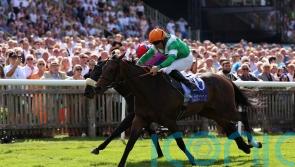 No Half Measures bows out following Champions Sprint run
