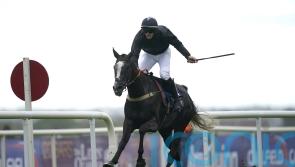 Sticktotheplan out for more glory after Persian War triumph
