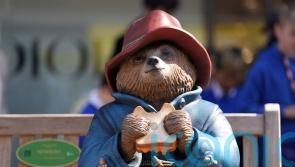 Paddington owners want Spitting Image puppet given over or destroyed, court told