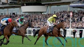 No rush to decide next move for shock Ascot winner Powerful Glory