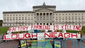 Stormont declared ‘crime scene’ over environmental crisis at Lough Neagh