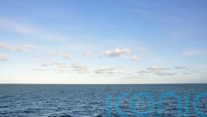 Cutting global emissions ‘only way’ to safeguard seafood, scientists warn