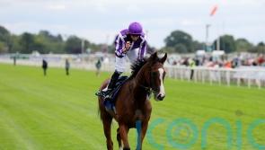 Turf hope Minnie Hauk to lead O&rsquo;Brien&rsquo;s Breeders&rsquo; Cup team