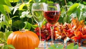 6 wines to cheer autumn and pair with comfort food