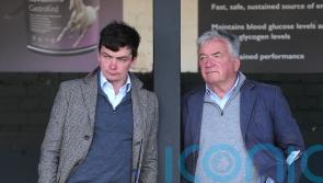 Un Sens A La Vie steps up to graded level at Cheltenham