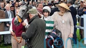 ‘Long-term project’ Alpinara set for eagerly-awaited start at Newbury