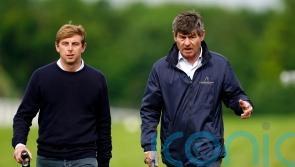 Pandemonium could break out in Horris Hill