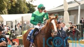 Benvenuto Cellini seeking to cement Classic claims
