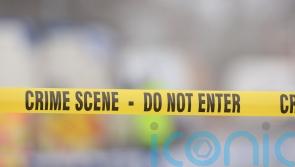 Arson attack on house while children slept inside