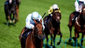 Amiloc to spearhead Beckett’s Breeders’ Cup challenge