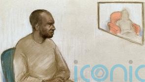 Timeline of events in case of asylum seeker who was released accidentally