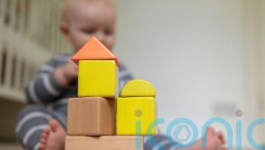 Ministers face call to ensure toys are free from ‘forever chemicals’