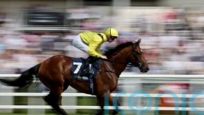 McDonald booked for Meydaan Melbourne Cup ride