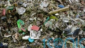 Regulators failing to tackle fly-tipping by organised crime groups, peers say