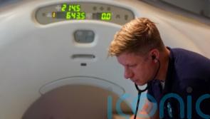 Three big cats have specialist CT scans to solve medical mystery