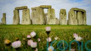 Weigh up protest rights before deciding JSO verdicts, Stonehenge jury told