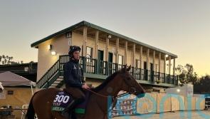 Rossa Ryan looking to Amiloc for Turf triumph