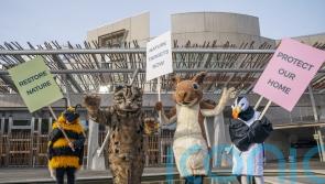 Ministers vow they are ‘listening’ to concerns about Natural Environment Bill