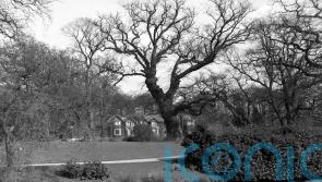 Where could Andrew live on the Sandringham Estate?