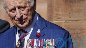 Virginia Giuffre’s brother would welcome meeting with King ‘with open arms’