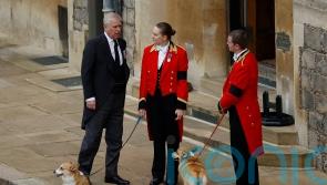 Late Queen’s corgis to remain in care of Andrew’s family – Buckingham Palace