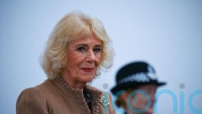 Camilla was ‘concerned’ Andrew row would impact on her work with abuse survivors