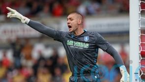 Sheffield Wednesday frustrate West Brom to end losing run