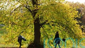 November expected to be warmer than usual but showers set to continue