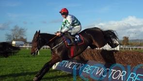 Firefox the headline act in Elliott’s Down Royal treble