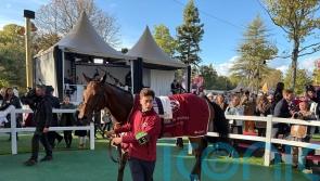 Maranoa Charlie set for stallion career after racing retirement