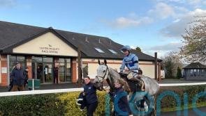 Resplendent Grey back with a bang in Colin Parker