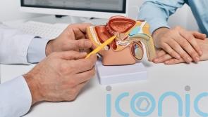 Study to determine if AI can make better treatment decisions for prostate cancer