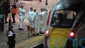 Man charged over mass stabbing also accused of attack on different train earlier