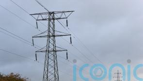 Council raising objection to power line is victory for democracy – campaigners