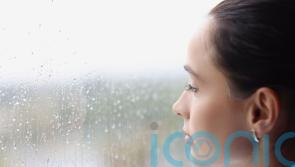 How gardening can help banish the winter blues