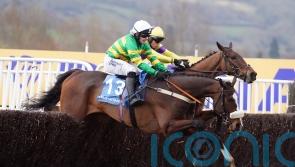 Festival hero Jagwar to return in Paddy Power Gold Cup