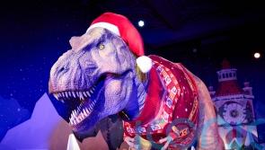 Santa Jaws is coming to town to launch museum&rsquo;s sustainable Christmas jumper