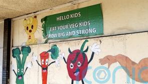 Obesity levels among Reception and Year 6 children in England, by local area