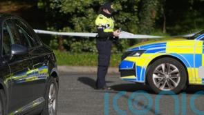 Man arrested following death in Tyrrelstown released without charge