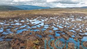 National Trust and Admiral team up to boost nature-based solutions for flooding